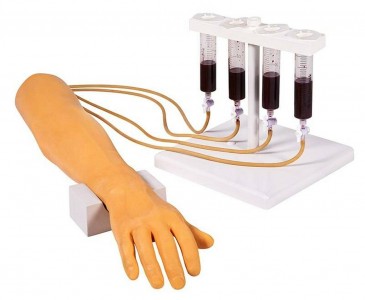 Paže pro nácvik aplikace intravenózní injekce a infuze